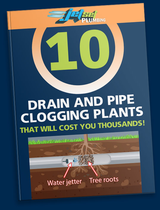 10 Drain And Pipe Clogging Plants That Will Cost You Thousands Book