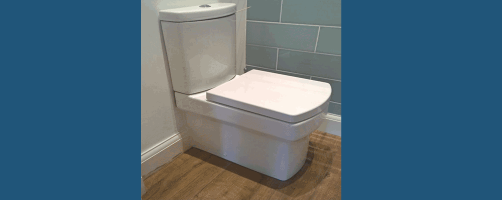 Hidden Toilet Leaks costs